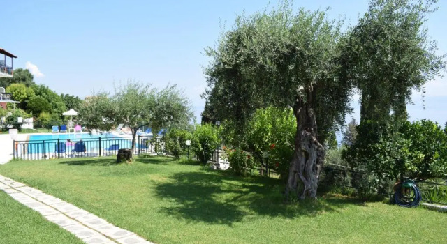 Апартаменты Rising Sun Apartments & Studios