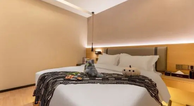 Двухместный люкс Executive c 1 комнатой GEE INN German Hotel (Guangzhou Baiyun International Airport Zhuliu Subway Station)