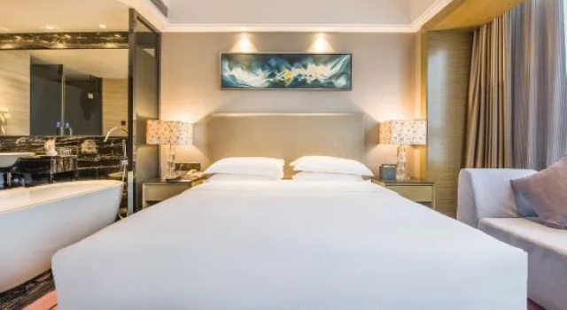 Люкс Business Libai International Hotel Guangzhou (Zhujiang New Town Gangding Subway Station)