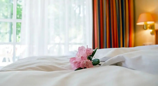 Номер Deluxe Hotel Landhaus Höpen