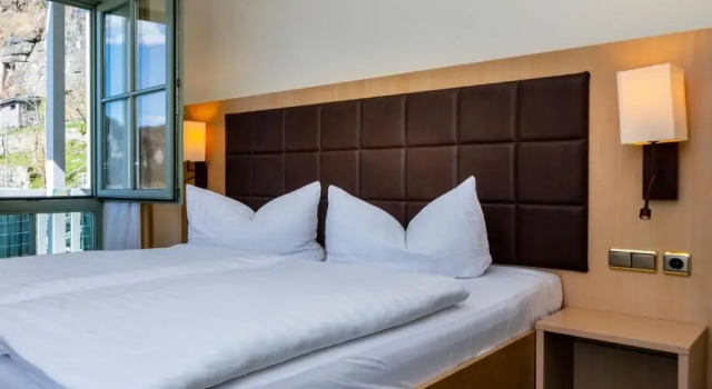 Standard cameră Hotel Elbschlösschen