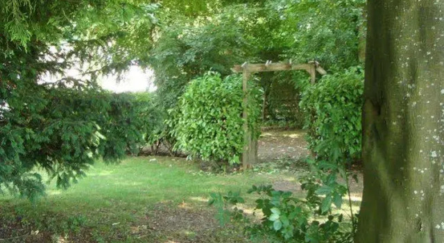 The Apple Wood