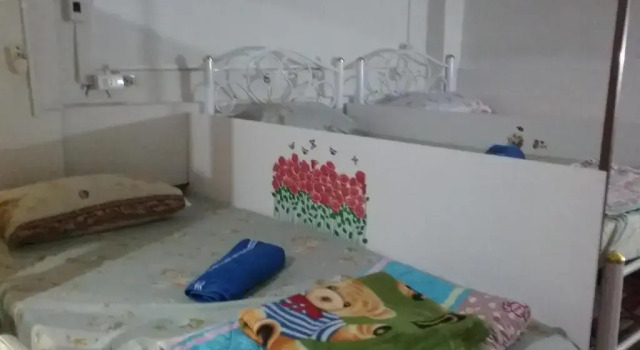 Кровать в общем номере Danee Hostel
