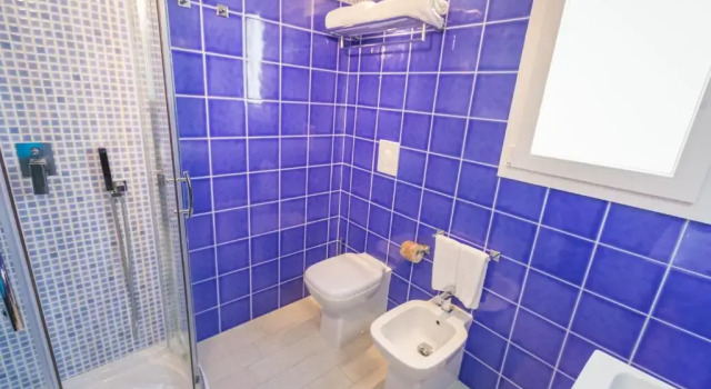 Camera Standard Hotel Regina Simius