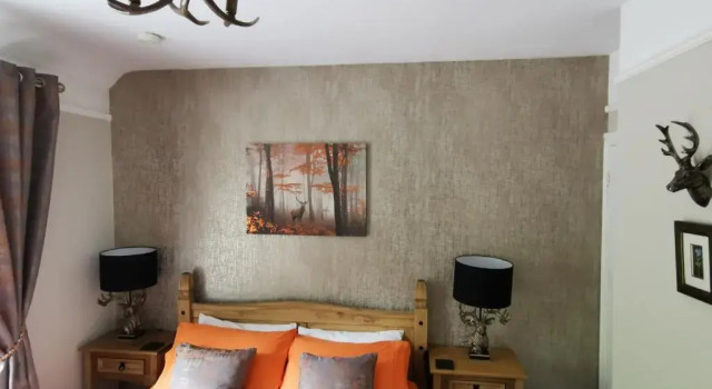 Номер Standard Dolweunydd Bed & Breakfast