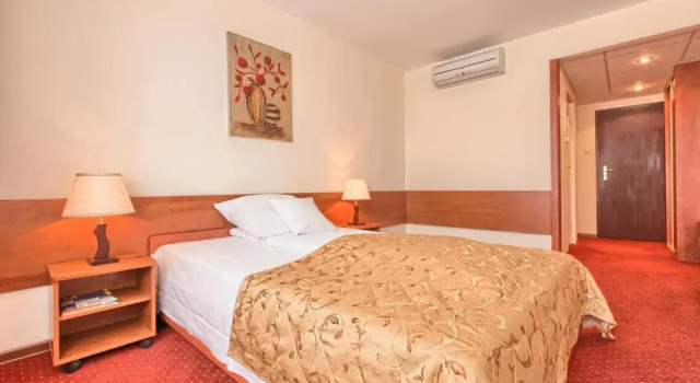 Номер Standard Hotel Jubilat