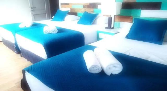 Номер Standard Hostal Buenavista Patagonia
