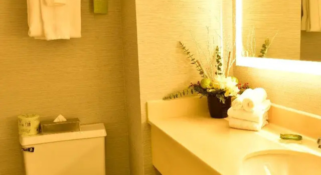 Двухместный номер Standard Radisson Hotel Niagara Falls-Grand Island