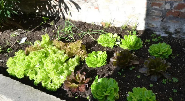 Апартаменты Ca' Ermina & Garden