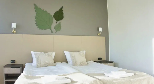 Семейный номер Standard Hotelli Savonlinna