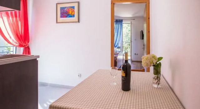 Апартаменты Comfort с видом на сад Apartments Villa Borik