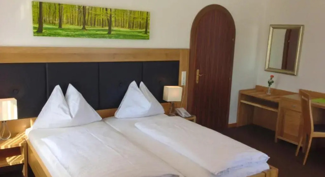 Номер Economy Berghof Dachsteinblick