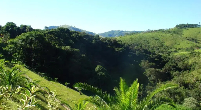 Люкс Canto da Floresta Ecoresort