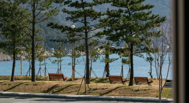 Номер Standard Gatnaeum Pension