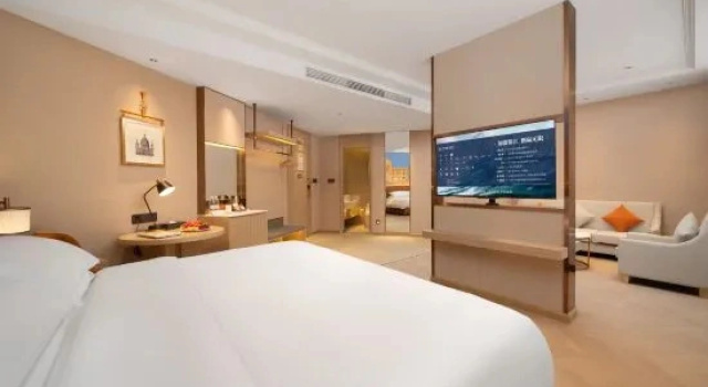 Люкс Deluxe Vienna Hotel (Dayi high-speed railway station Branch）