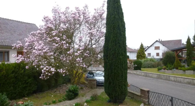 Jardin Fleuri, Book Apartment  