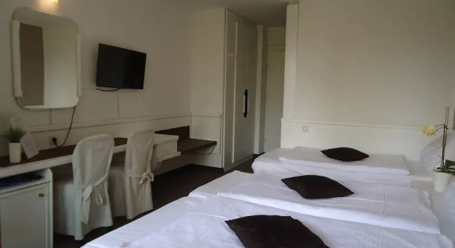 Номер Standard Hotel Ribno