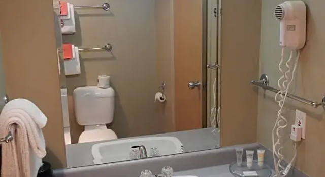Номер Standard Fernie Slopeside Lodge