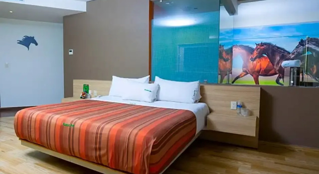 Suite doppia Hotel Xcoco Inn