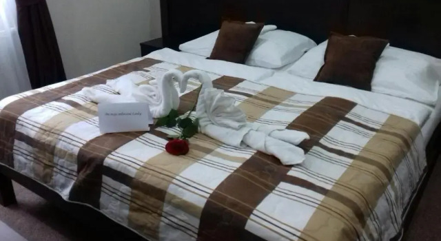 Standart oda Hotel David