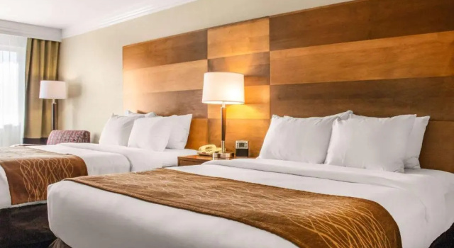 Номер Standard Comfort Inn & Suites Durango