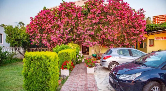 Апартаменты с 2 комнатами Apartments Oliva