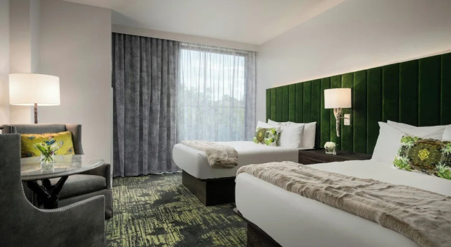 Четырёхместный номер Standard Grand Bohemian Lodge Greenville, Autograph Collection