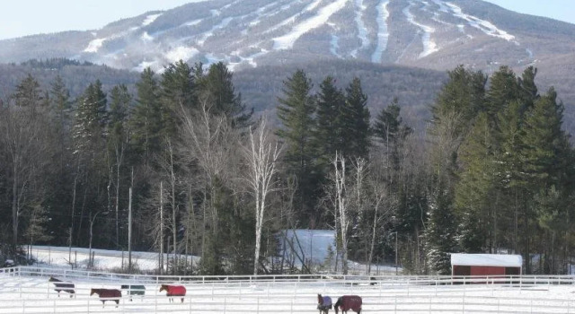 Three Mountain Inn