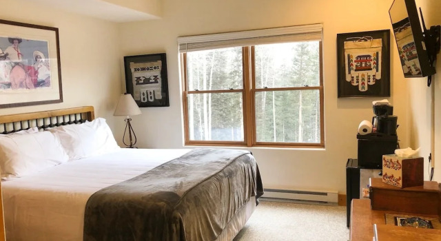 Bear Creek Lodge 209 3 Bedroom Condo by Alpine Lodging Telluride