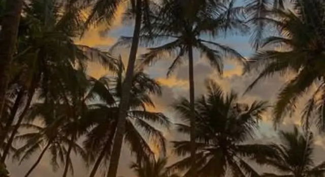 Двухместный номер Standard с видом на океан The Coconut Beach Boutique Lodge & Spa