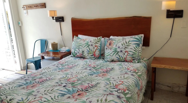 Двухместный номер Standard Цокольный этаж с красивым видом из окна Alexander Palms Court - No Hidden Resort Fees