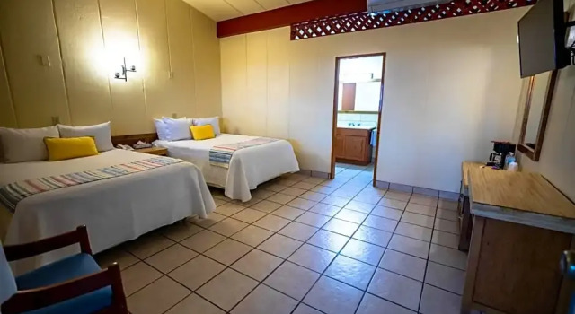 Номер Standard с видом на сад Hotel Oasis