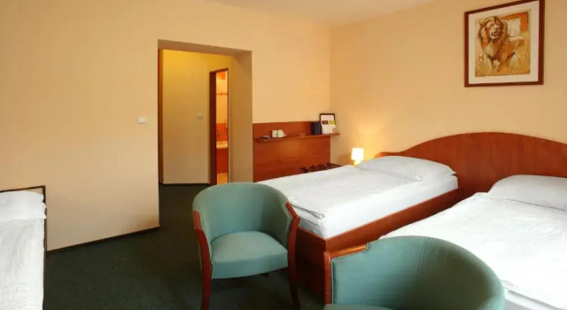 Двухместный номер Superior Hotel Palace