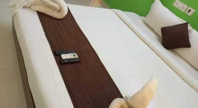 Номер Deluxe Green Tree Hotel