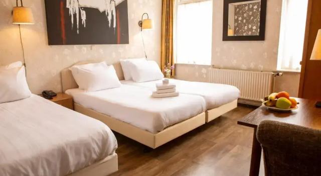 Трёхместный номер Standard Hotel Hof van Twente