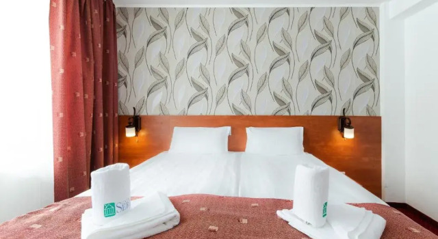 Номер Standard Serena Guesthouse Bran