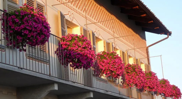 Casa Americani, Boek Hotel Hotels in Monferrato met parkeren, Parkeren