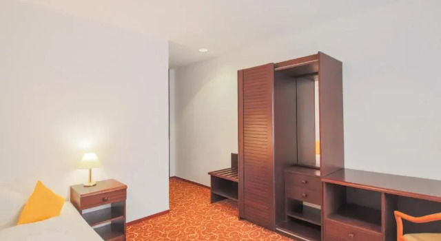 Номер Standard Hotel garni Zwickau-Mosel