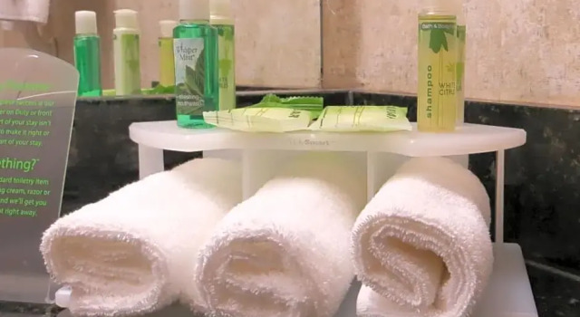 Двухместный люкс Holiday Inn Express Romulus / Detroit Airport by IHG