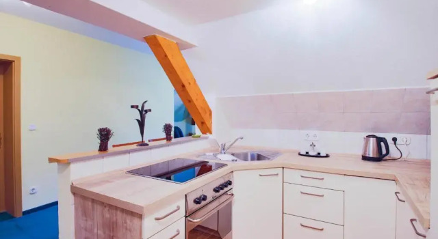 Apartament 1 dormitor Ferien Hotel Südharz