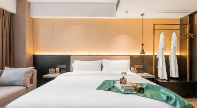 Люкс Deluxe skylar Hotel