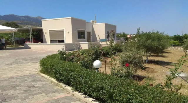 Апартаменты Angel House Apartment