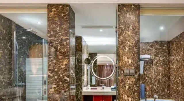 Двухместный люкс Business Serengeti Hotel