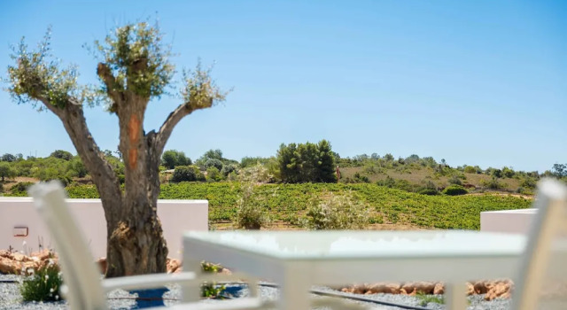 Апартаменты Quinta dos Vales Wine Estate