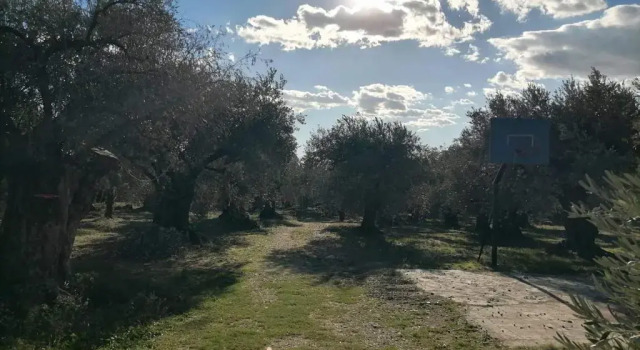 Коттедж Κτήμα Παπαδημητρίου, Papadimitriou retreat