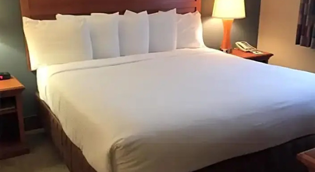 Номер Standard Isle Casino Hotel Lula, A Caesars Destination
