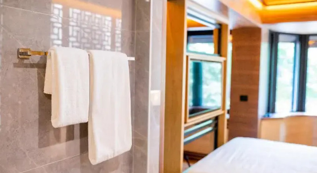 Полулюкс Deluxe Hanami Design Hotel