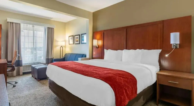 Четырёхместный номер Standard Comfort Suites Near Camp Lejeune