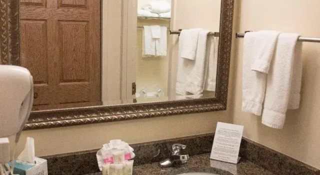 Номер Standard Staybridge Suites Fort Wayne by IHG