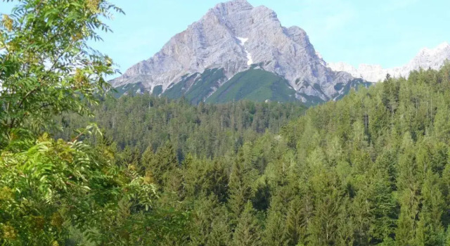 Шале Gasthof Hubertus